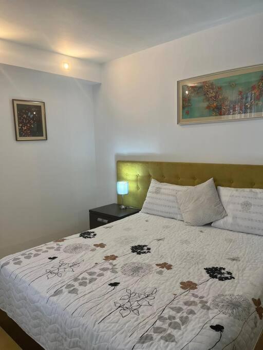 Apartament Theta- Langa Centru, Cada Hidromasaj 苏恰瓦 外观 照片